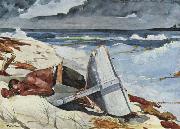 Winslow Homer After the Tornado, Bahamas china oil painting artist